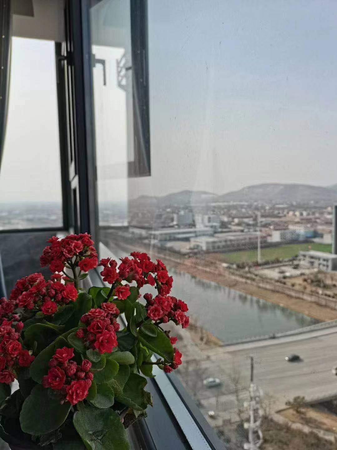 1613971900197660.jpg 1613971900197660.jpg