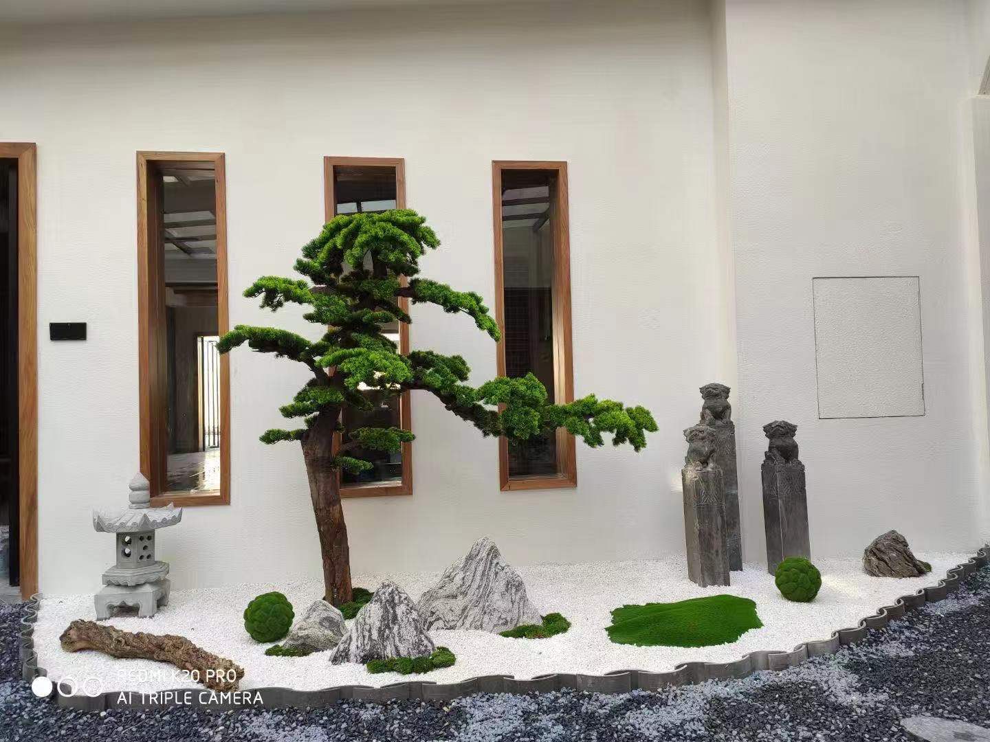 1613971900732216.jpg 1613971900732216.jpg